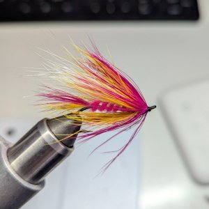 PXL_20250310_000250729.jpg