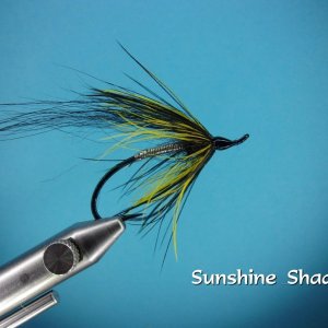 Sunshine Shadow.jpg