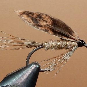 March Brown 1080.JPG