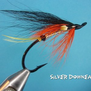 Silver Downeaster.jpg