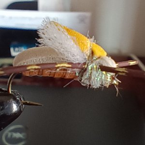 Unsinkabeetle_2.jpg