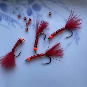 IMG_5210.jpeg