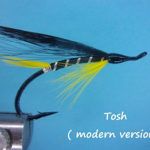 Tosh 2.jpg