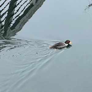IMG_1268.jpeg