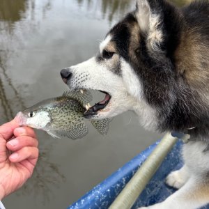 IMG_5884.jpeg