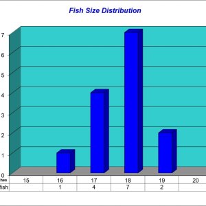 Fish Size Distribution 2025-03-19.jpg