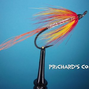 Prichard's Comet.jpg