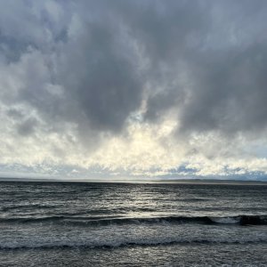 IMG_1338.jpeg