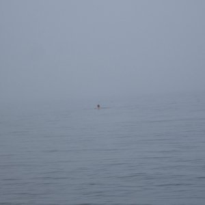 IMG_1370.jpeg