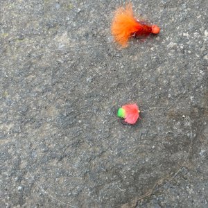 IMG_6066.jpeg