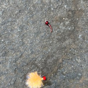 IMG_6063.jpeg