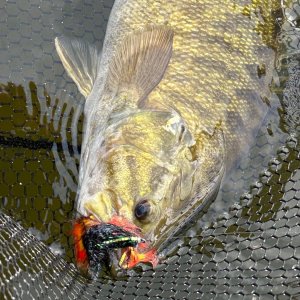 IMG_4591.jpeg