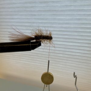 IMG_0076.jpeg