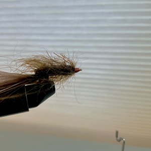 IMG_0077.jpeg