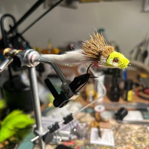 IMG_4612.jpeg