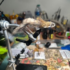 IMG_4610.jpeg