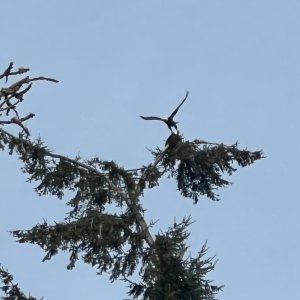 IMG_1429.jpeg