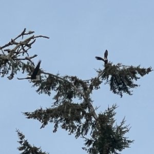 IMG_1430.jpeg