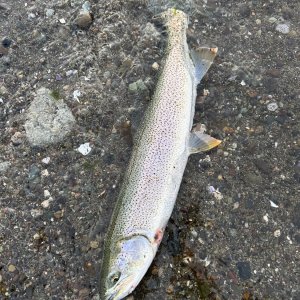 IMG_2213.jpeg