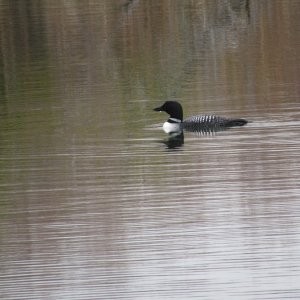 IMG_8162.JPG