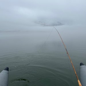 IMG_1405.jpeg