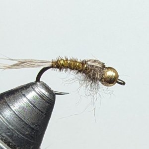 PXL_20250331_210611809.jpg