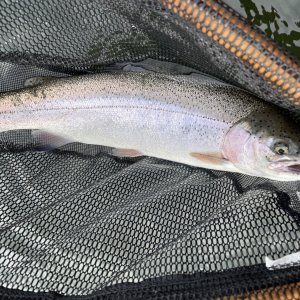 IMG_5263.jpg