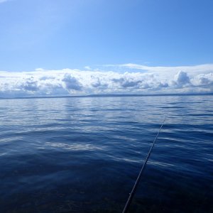 IMG_1487.jpeg