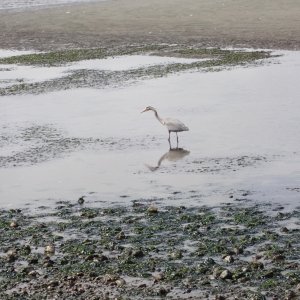 IMG_1486.jpeg