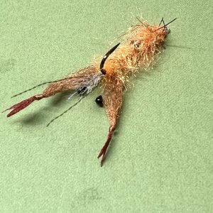 IMG_6040.jpeg