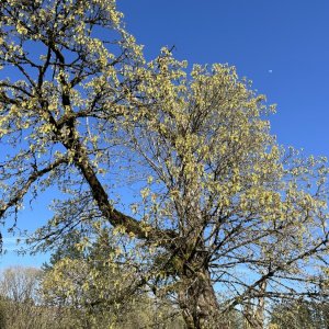 IMG_4447.jpeg