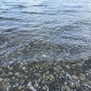 IMG_6333.jpeg
