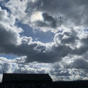 IMG_7080.jpeg