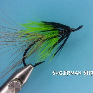 SUGERMAN SHRIMP.jpg