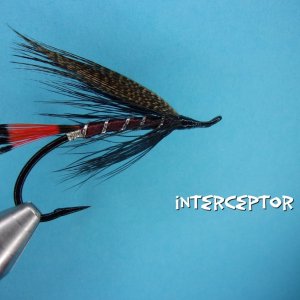Interceptor.jpg
