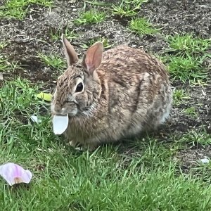 IMG_1663.jpeg