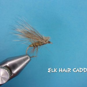 Elk Hair Caddis.jpg