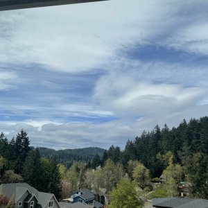 IMG_4461.jpeg