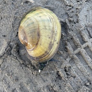 IMG_0569.jpeg