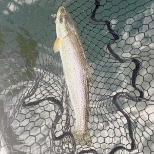 IMG_0558.jpeg