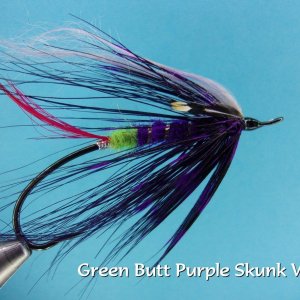 Green Butt Purple Skunk Variant.jpg