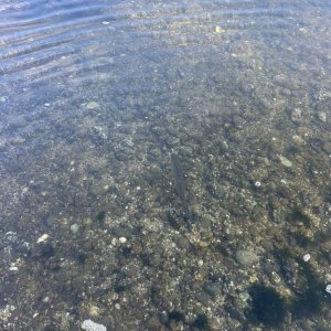 IMG_6422.jpeg