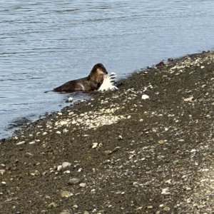 IMG_6436.jpeg