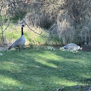 IMG_4259.jpeg