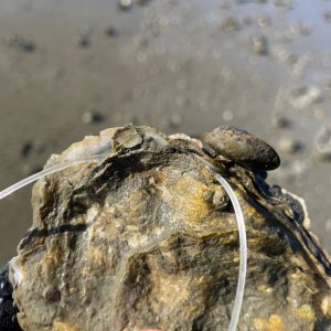 IMG_8717.jpeg