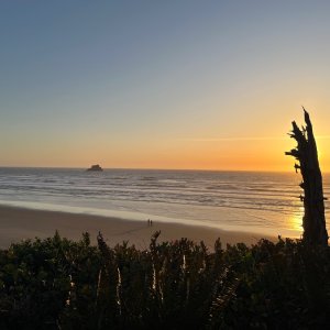 IMG_3774.jpeg
