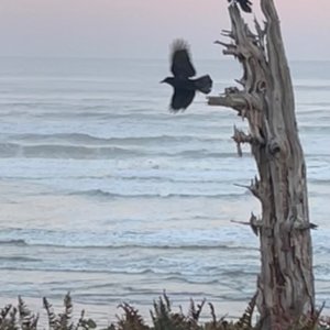 IMG_3817.jpeg