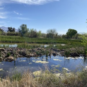 B00SweetwaterRegionalPark9399.jpg