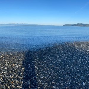 IMG_5241.jpeg