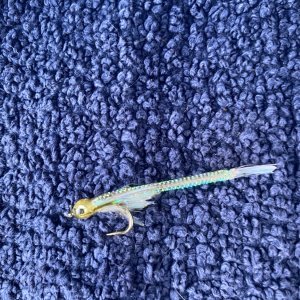 IMG_5244.jpeg